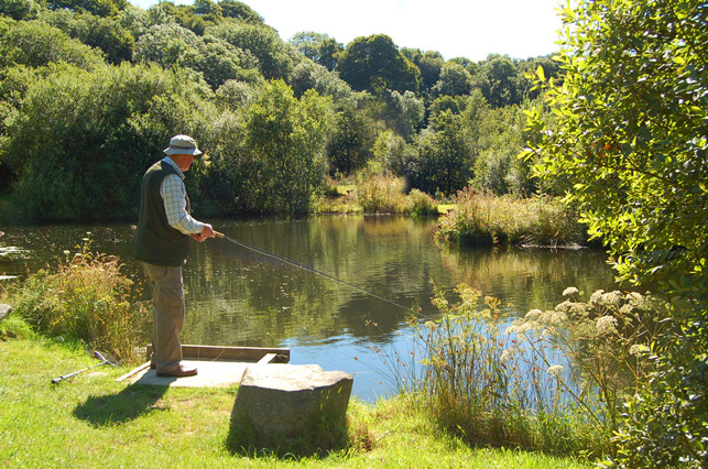 fly fishing tavistock